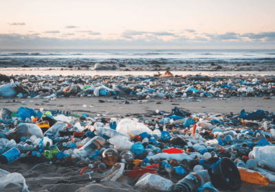 5밀리미터 미세플라스틱: 보이지 않는 위기 a large pile of plastic bottles on a beach