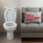 A side-by-side comparison of a clean, pristine white toilet seat next to a visibly dirty, stained sofa cushion.