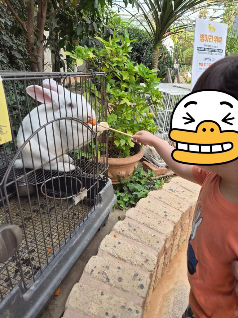 Child offering food to a white rabbit inside a metal cage in a garden setting.