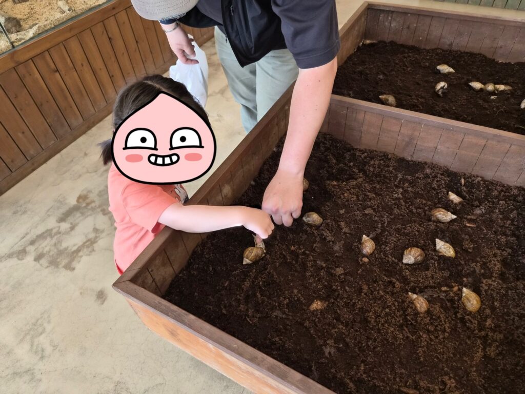 Child and adult hands placing snails into a raised wooden planter filled with soil.
