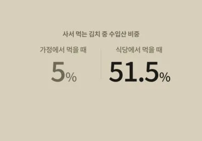 중국산 김치 비중 가정 5% 식당 51.5% 비교 - Useful Life Hub 사서 먹는 김치 중 수입산 비중을 비교한 이미지 — 가정에서 먹을 때 5%, 식당에서 먹을 때 51.5%. 중국산 김치 유통경로별 비중