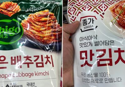 비비고 김치 vs 종가 김치 앞면 비교 - Useful Life Hub 비비고 썰은 배추김치와 종가 맛김치 800g 포장 앞면을 손에 든 사진 — 비비고 김치 종가 김치 비교