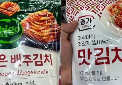 비비고 썰은 배추김치와 종가 맛김치 800g 포장 앞면을 손에 든 사진 — 비비고 김치 종가 김치 비교