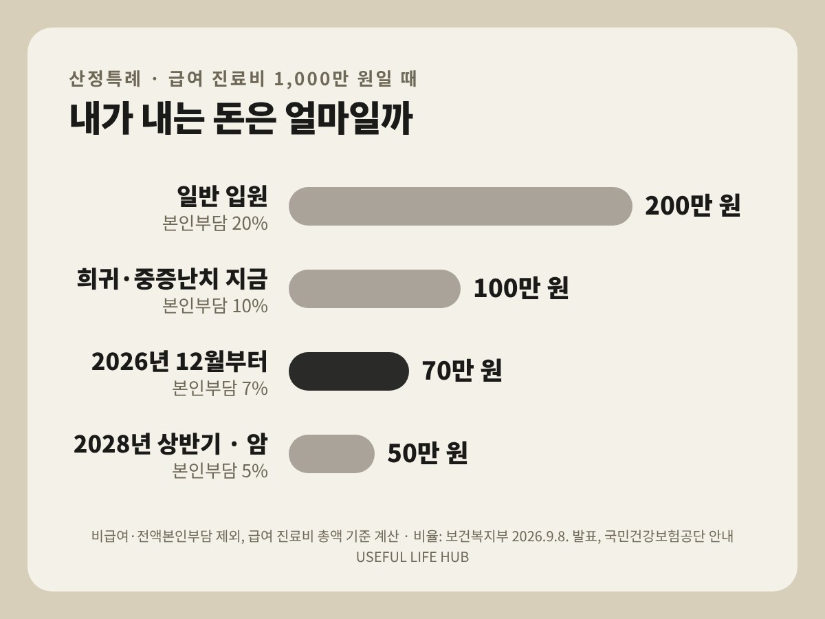 산정특례 본인부담 비교 — 급여 진료비 1,000만 원 기준 - Useful Life Hub 급여 진료비 1,000만 원일 때 산정특례 본인부담 비교 — 일반 입원 200만 원, 희귀·중증난치 지금 100만 원, 12월부터 70만 원, 2028년 50만 원